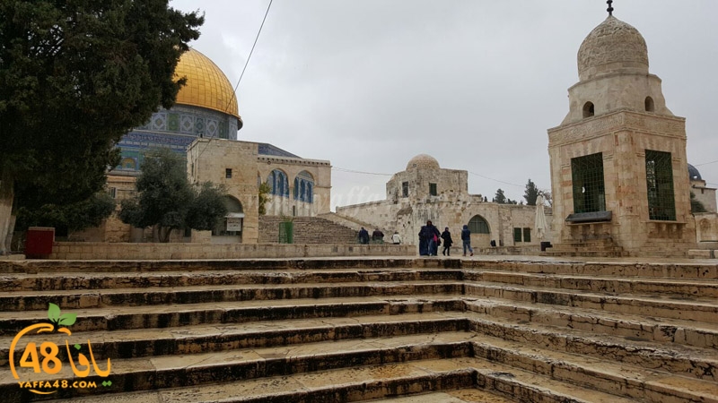 7afela ramla (5).jpg